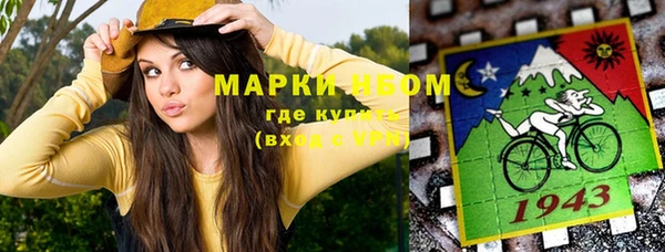 хмурый Кодинск