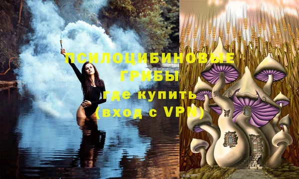 марки nbome Козловка