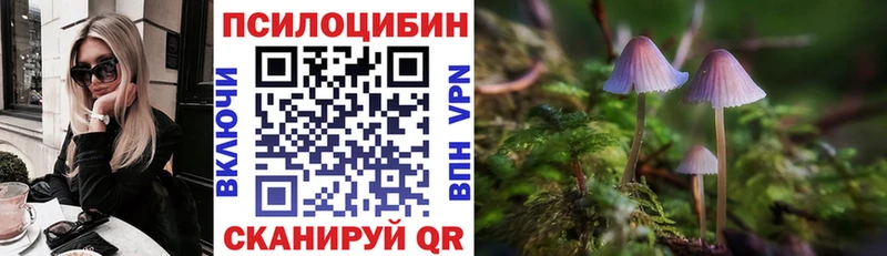 Купить  Белокуриха  Галлюциногенные грибы Psilocybine cubensis 
